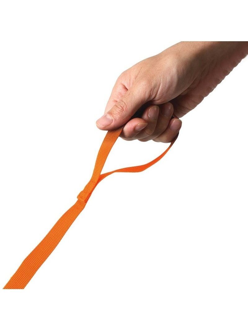 Vaikiška kuprinė Littlelife Lion Toddler Backpack - Image 4